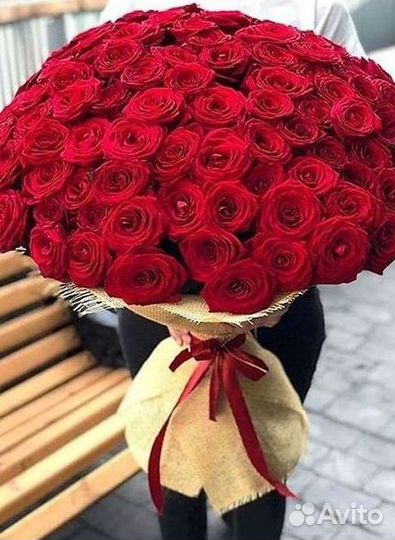 Высокие розы