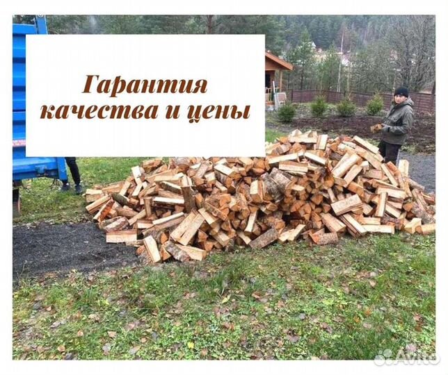 Сухие березовые дрова