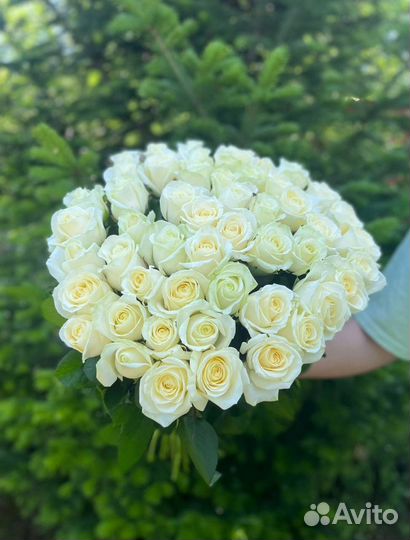 Розы без посредников букеты цветов 15 - 101 шт