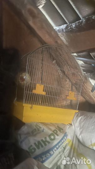 Аквариум и клетки