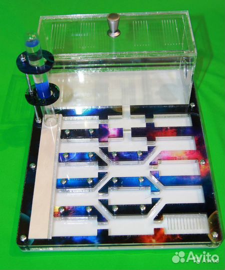 Муравьиная ферма