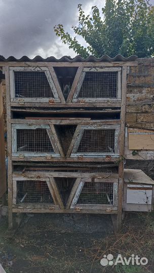 Крольчатник