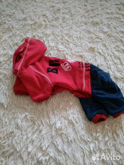 Комбинезон для собак