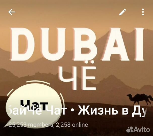 Телеграм Чат/Канал - Дубай