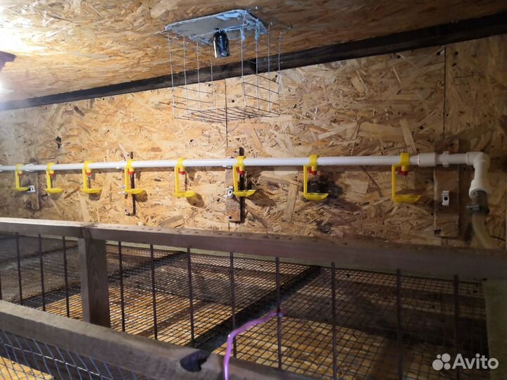 Продам поилку для кур на 8 персон