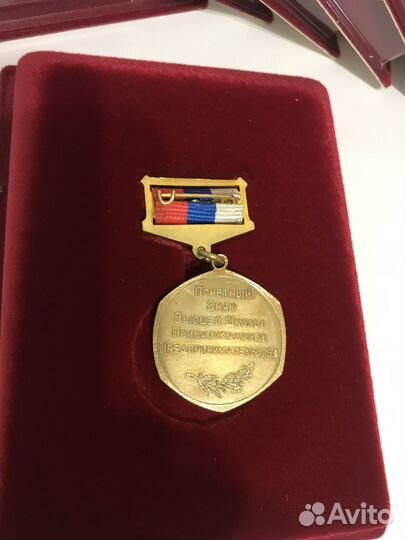 Почетный знак вшпп. Образование. Тяжёлый эмаль