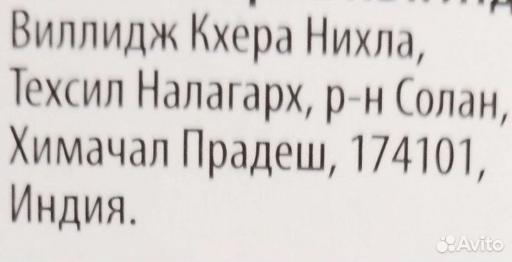 Породистый индийский клоп 