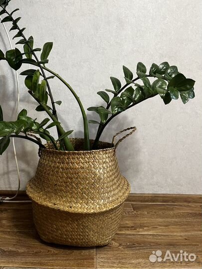 Кашпо для цветов плетеное
