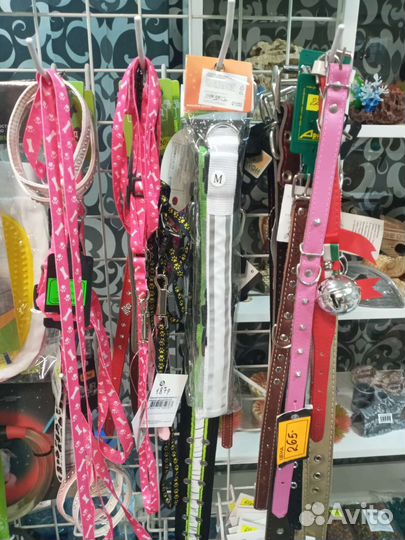 Ошейник и поводок