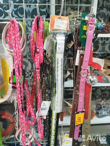 Ошейник и поводок