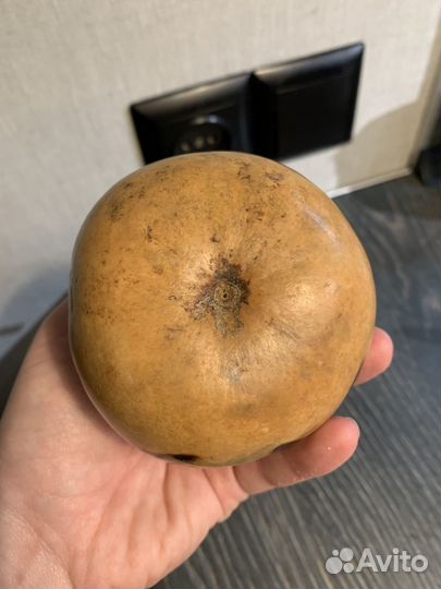 Калабас для мате и бомбилья