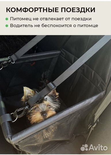 Автоперевозка для животных