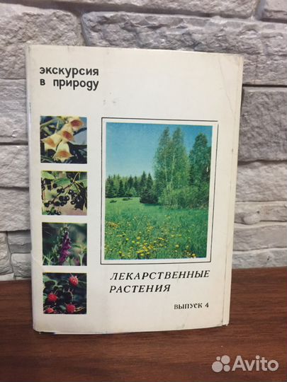 Набор открыток. Лекарственные растения. М, 1980 г