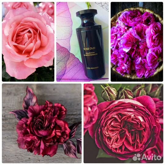 Духи женские оригинал Yvеs Rосhеr Rose Oud