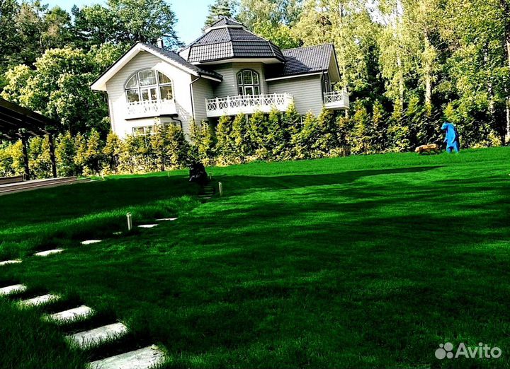 Рулонный газон