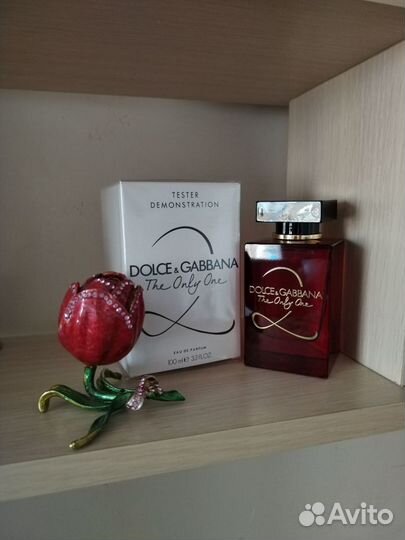 Dolce gabbana the only one