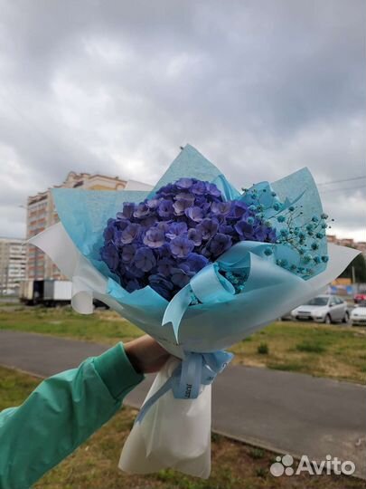 Цветы на 1 сетября