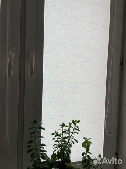 Рулонные шторы новые 2 шт