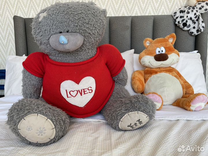 Мишка Тедди и кот Томас