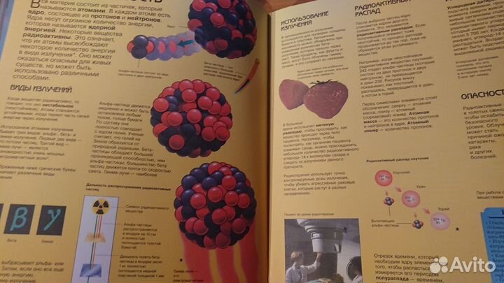 Школьная энциклопедия