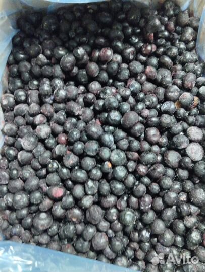 Продам свежезамороженную голубику садовую крупную