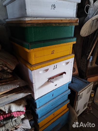 Ульи для пчел