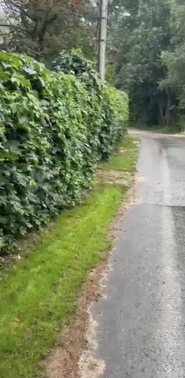 Участок 7,8 сот. (ИЖС)