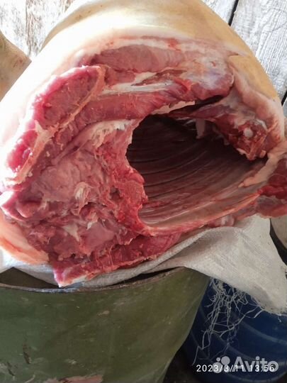 Мясо свинина с лпх