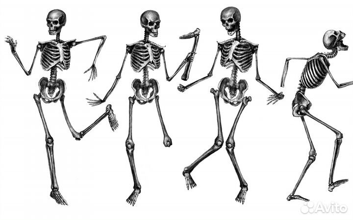 Разработка эскизов для татуировок