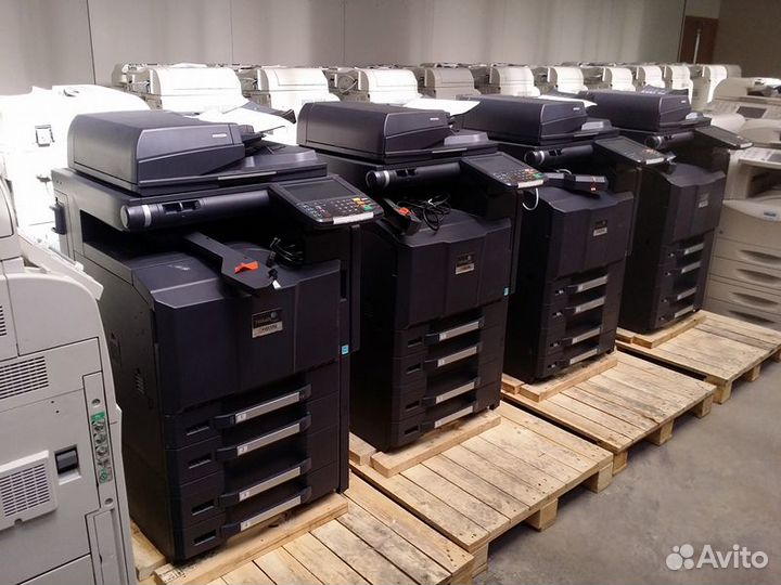 Мфу kyocera taskalfa из Европы с гарантией