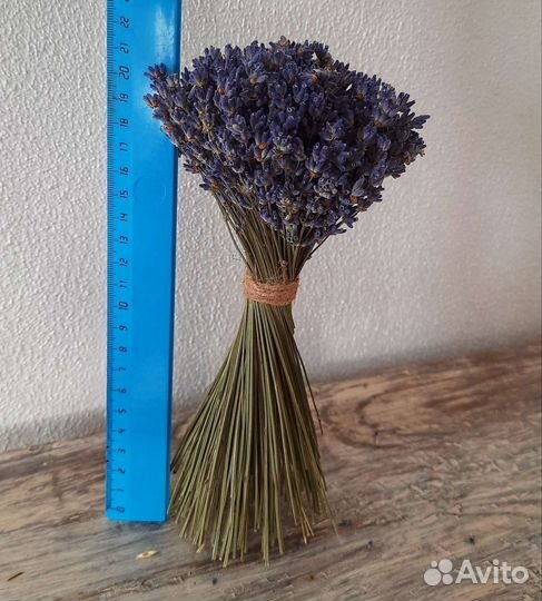 Букет из лаванды