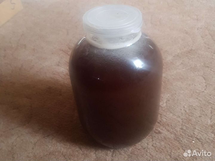 Мёд из белого донника