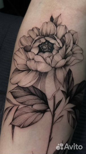 Татуировки тату мастер спб