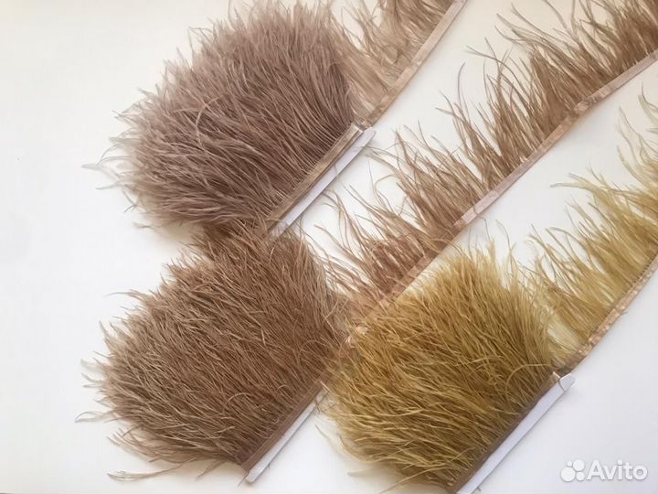 Страусиные Перья все оттенки бежевого