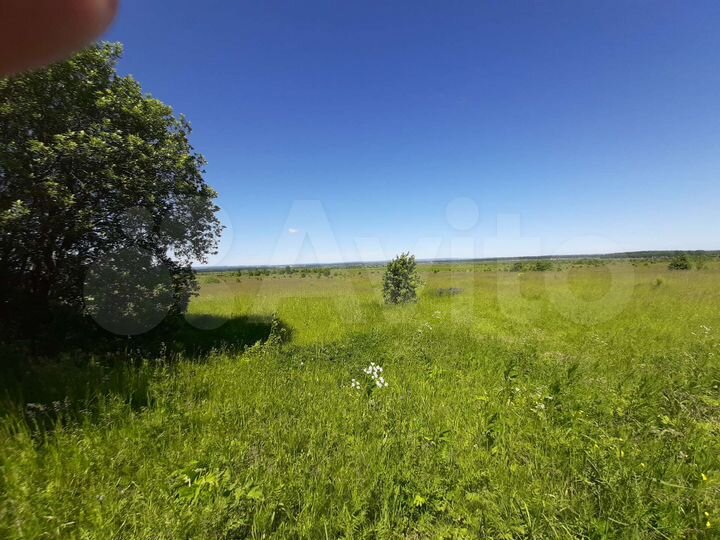 Участок 5,9 га (ИЖС)