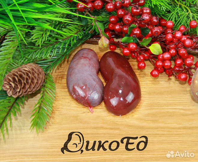 Почки косули