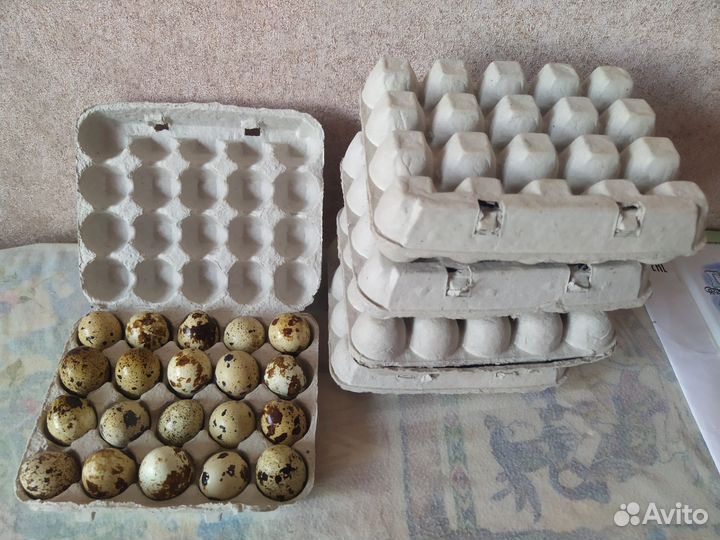 Упаковка для перепелиных яиц