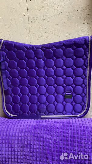 Вальтрап выездковый