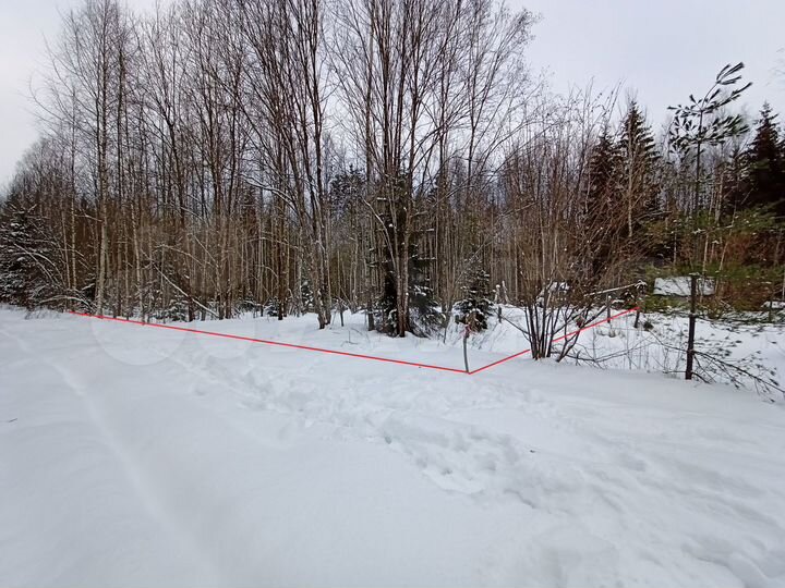 Участок 11,8 сот. (СНТ, ДНП)