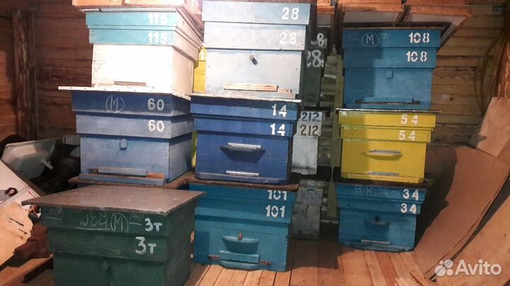 Продам улья и ловушки для пчёл