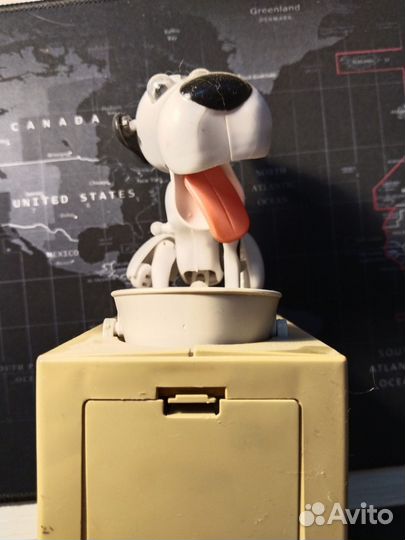 Собака копилка