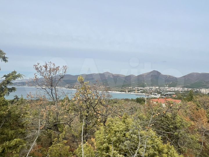 Участок 4,2 га (СНТ, ДНП)