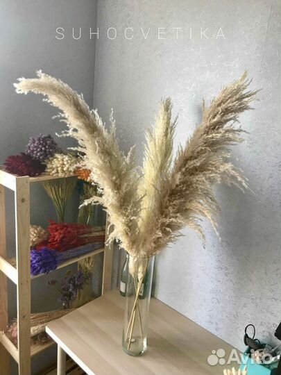 Композиция из пампасной травы