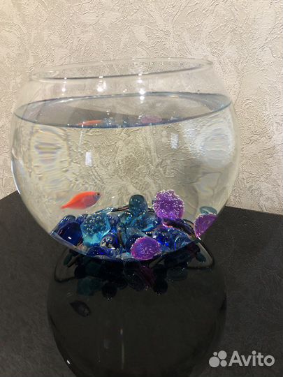 Аквариум круглый