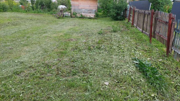 Участок 4,5 сот. (СНТ, ДНП)