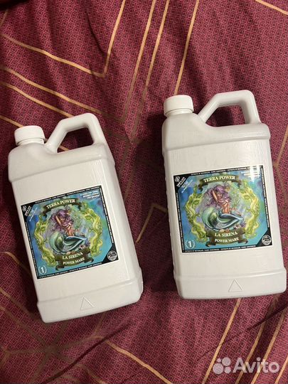 Terra power la sirena (advanced nutrients b-52)
