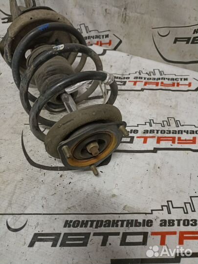 Стойка ходовки nissan mazda. almera classic bluebird sylphy familia VAN sunny wingroad. WFY11 whny11