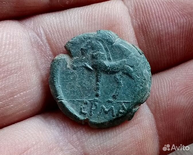 Керкинитида, Скиф, конь. магистрат ерма,IV век до