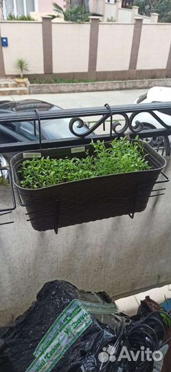 Кронштейны для цветочных горшков, 40, 60 см