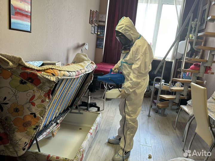 Уничтожение клопов,тараканов,плесени.Дезинфекция